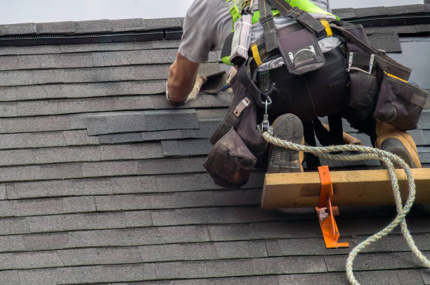 Best Roof Gutter Cleaning  in Brooksi, DE