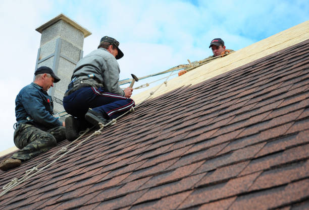 Best Gutter Installation and Roofing  in Brooksi, DE