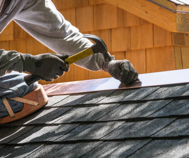 Best Roof Leak Repair  in Brooksi, DE
